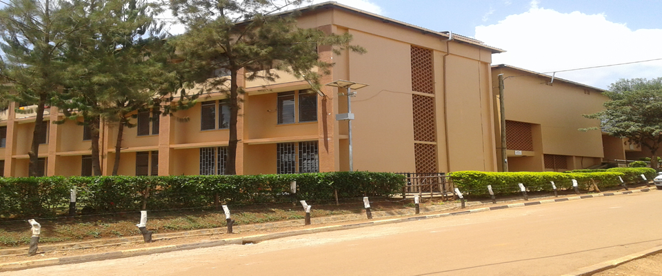 sliderpic2.fw sliderpic2.fw